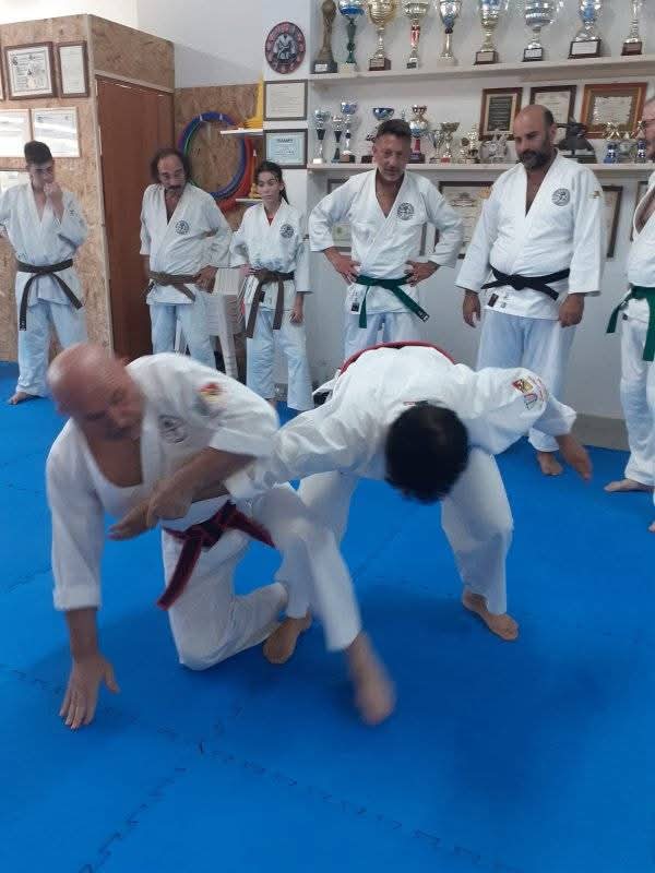 Dojo Salemi