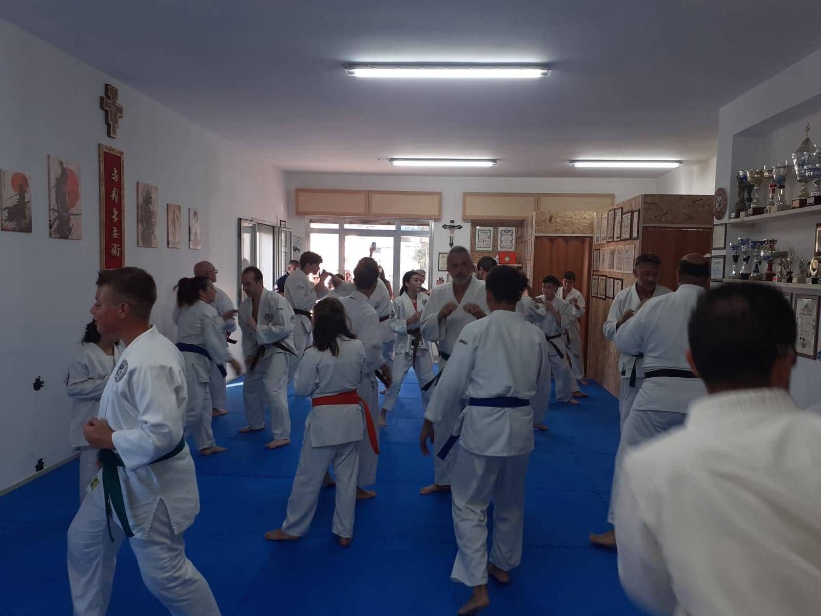 Dojo Salemi