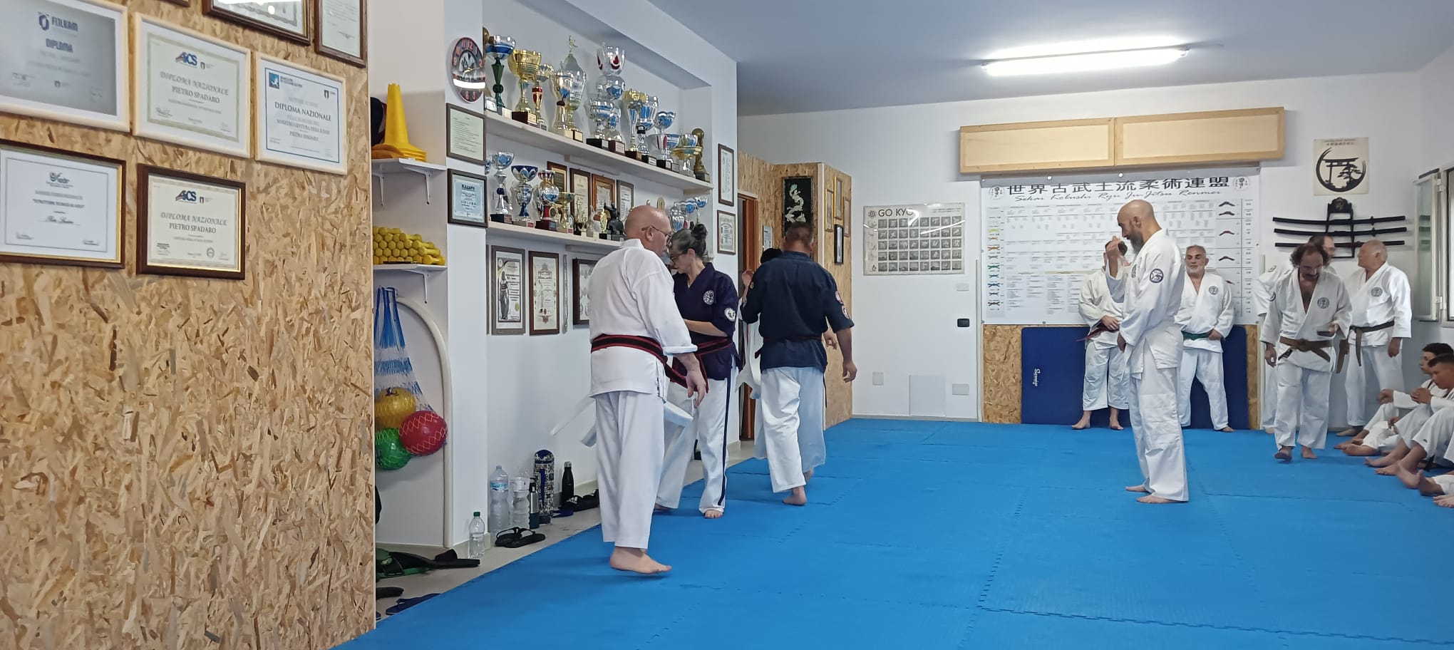 Dojo Salemi