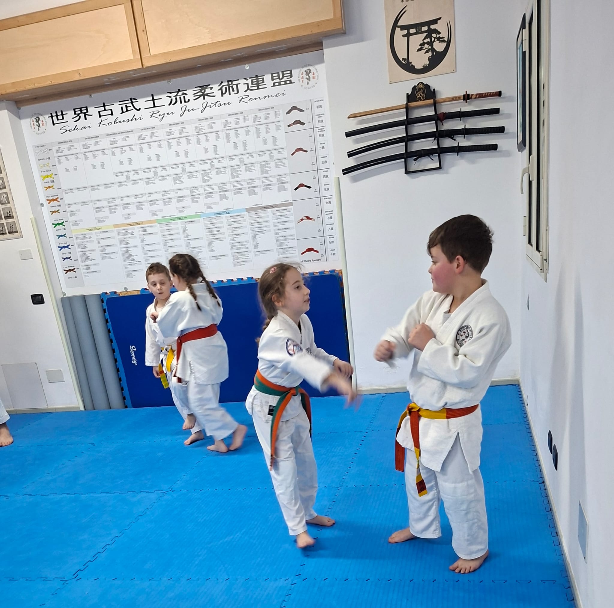 Dojo Salemi