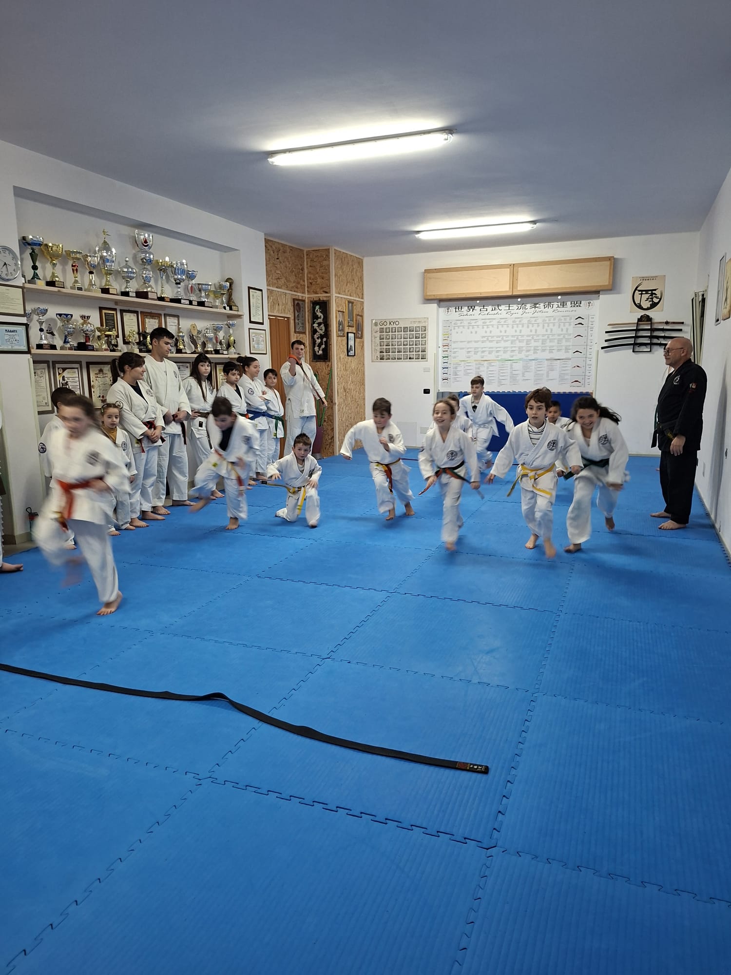 Dojo Salemi
