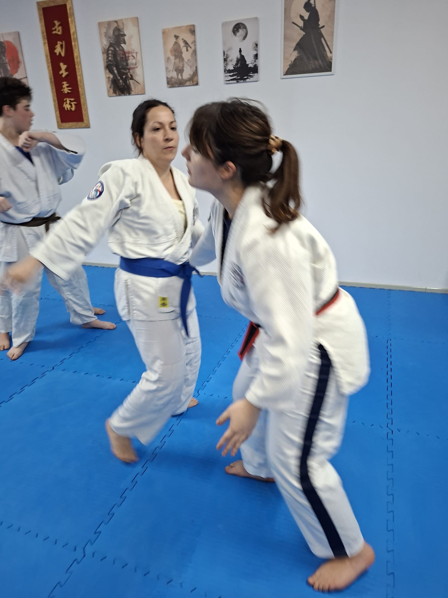 Dojo Salemi