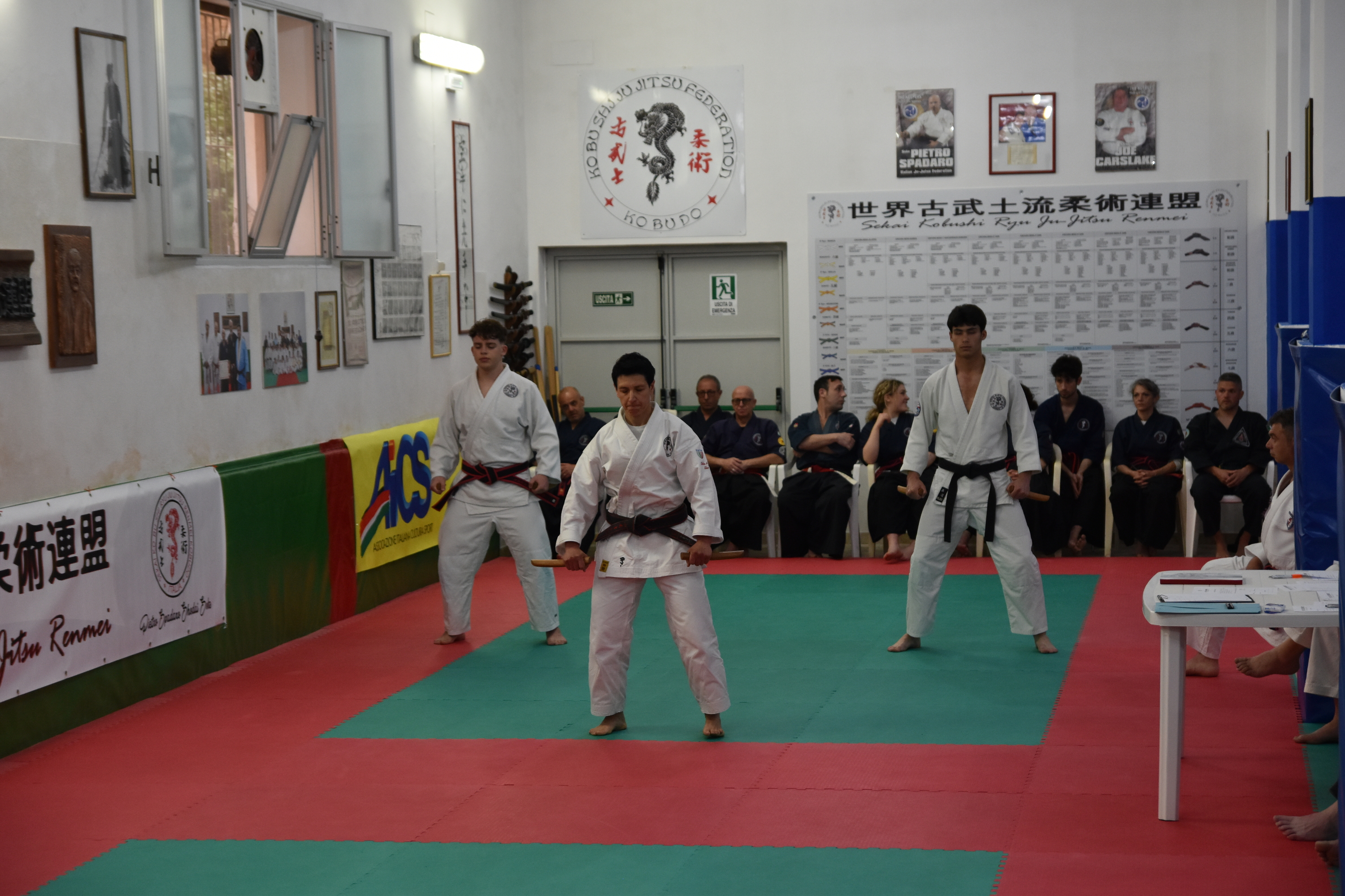 Esami VII Dan Ju Jitsu