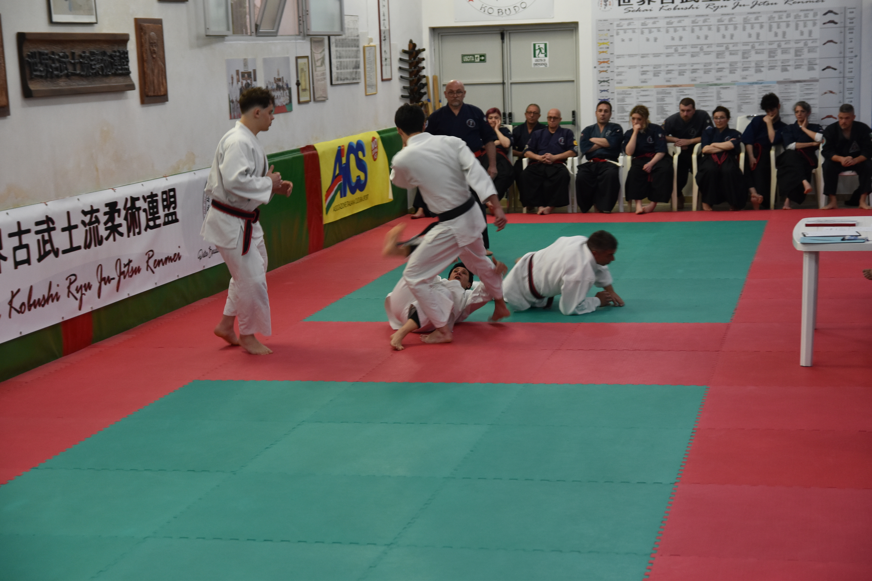 Esami VII Dan Ju Jitsu