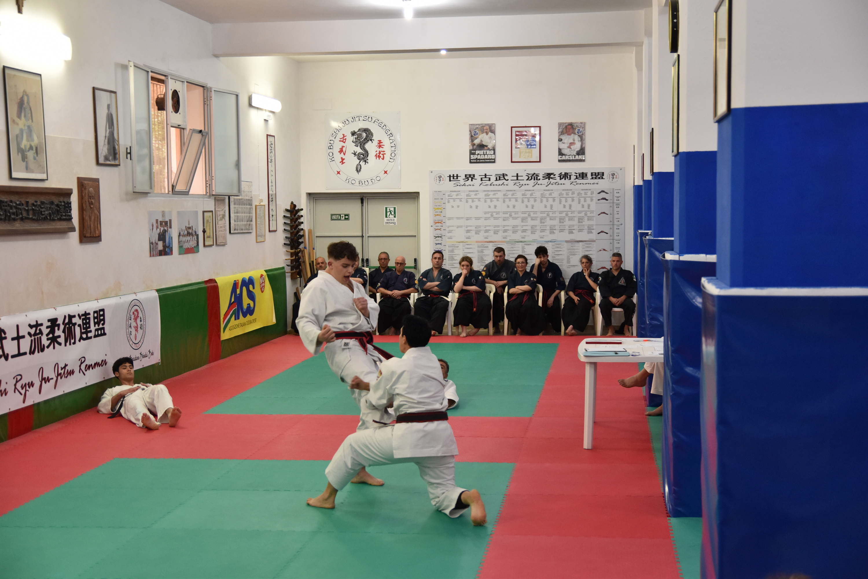 Esami VII Dan Ju Jitsu
