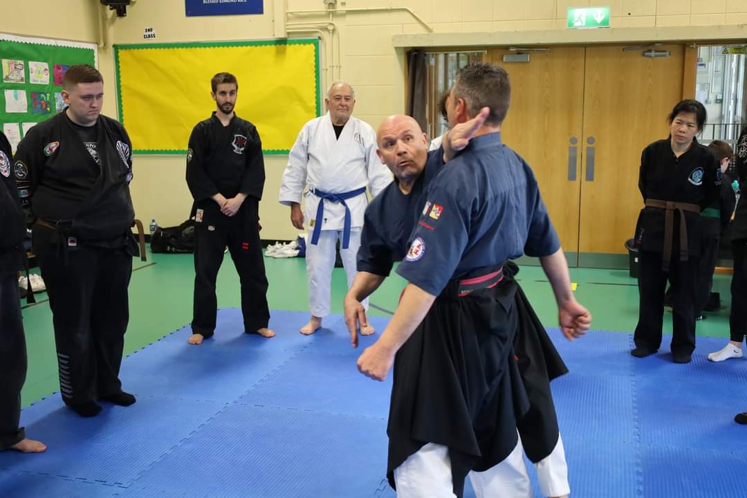Seminario Irlanda