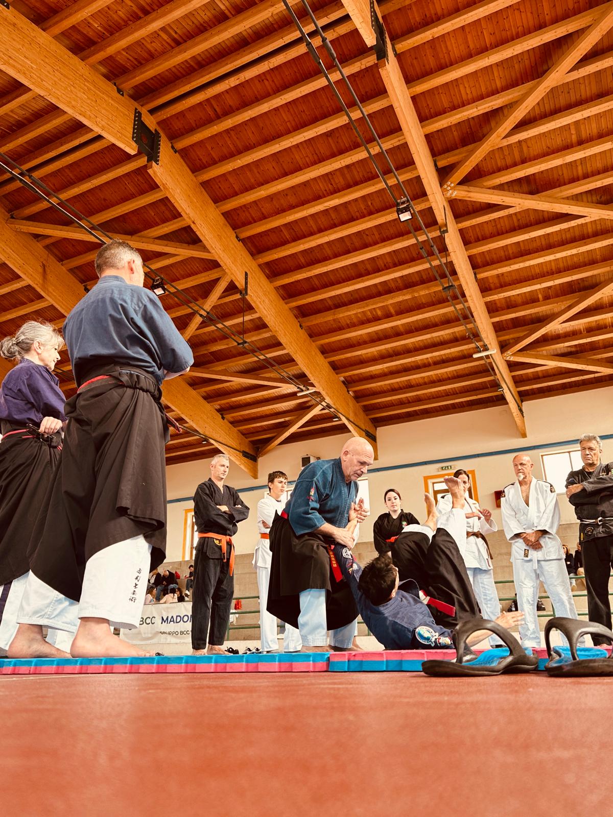 Seminario Ju Jitsu Petralia Sottana