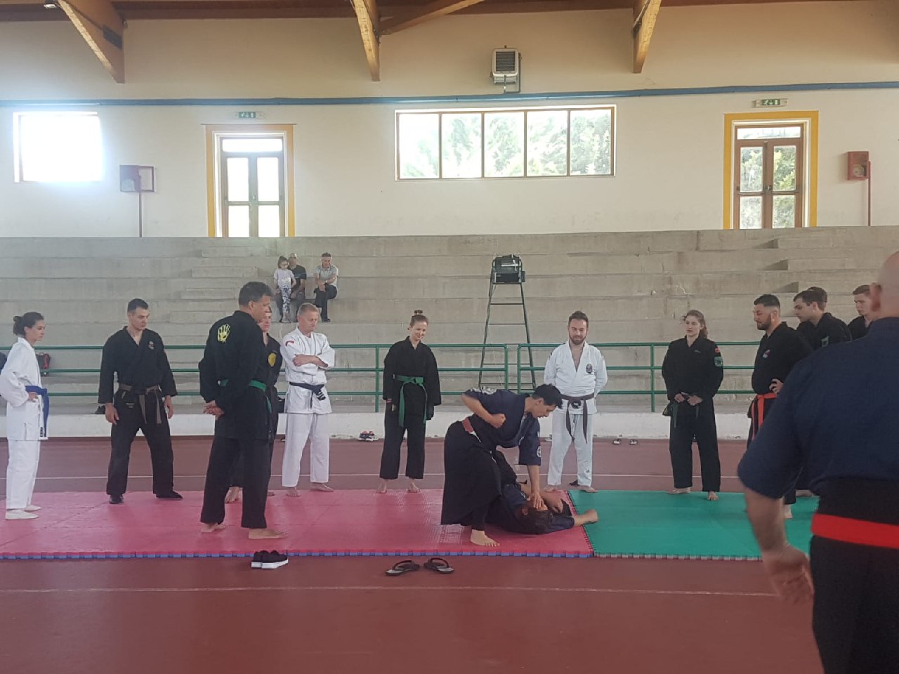 Seminario Ju Jitsu Petralia Sottana